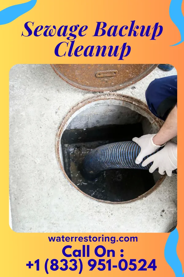 Sewage Backup Cleanup in Haworth, OK